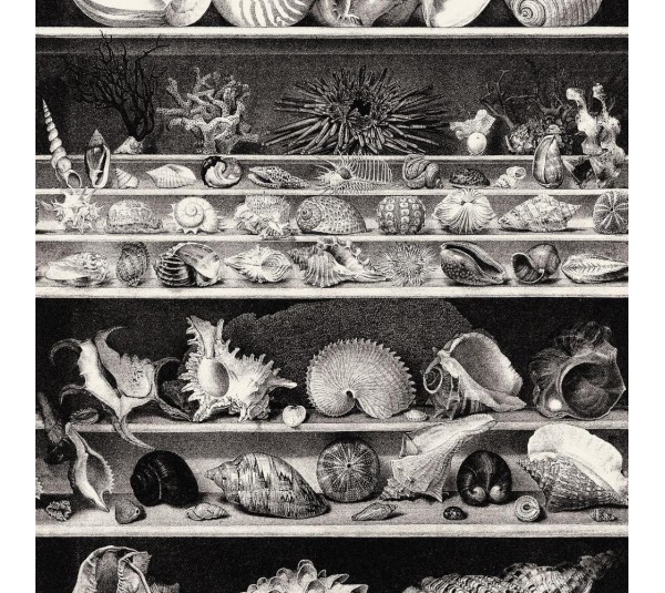 обои Casamance Oxymore 3 78029401