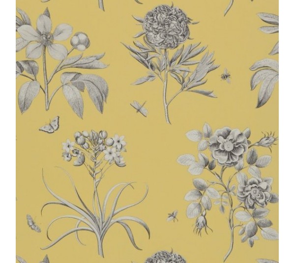 обои Sanderson Classic Collection 2 DCLAEC-104