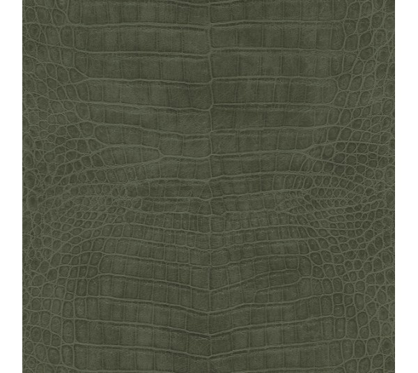 обои Rasch African Queen 3 751352