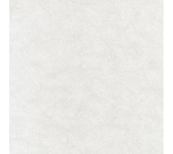 обои Casadeco So White 2 SWI63490088