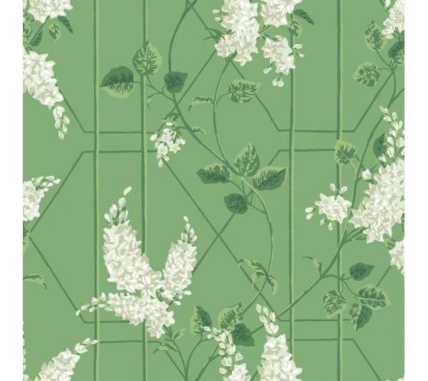 обои Cole & Son Botanica 115/5016