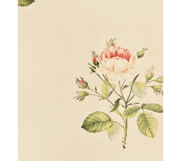 обои Sanderson Classic Collection 2 DCLAER-101