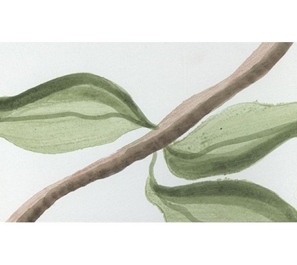 обои Marburg  Horus (36) Horus 58723