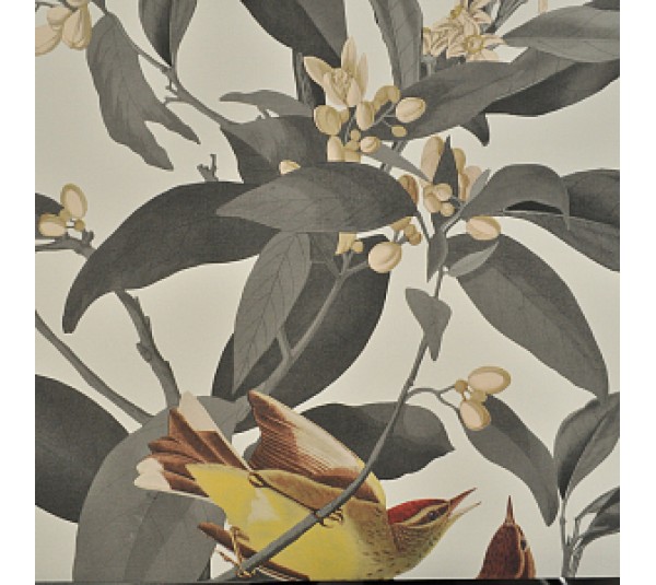 обои Lutece Evasion 51175509