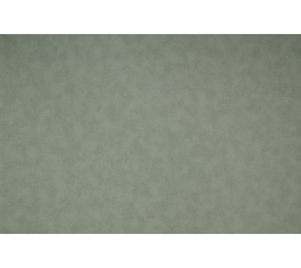 обои NC Color 4050-030