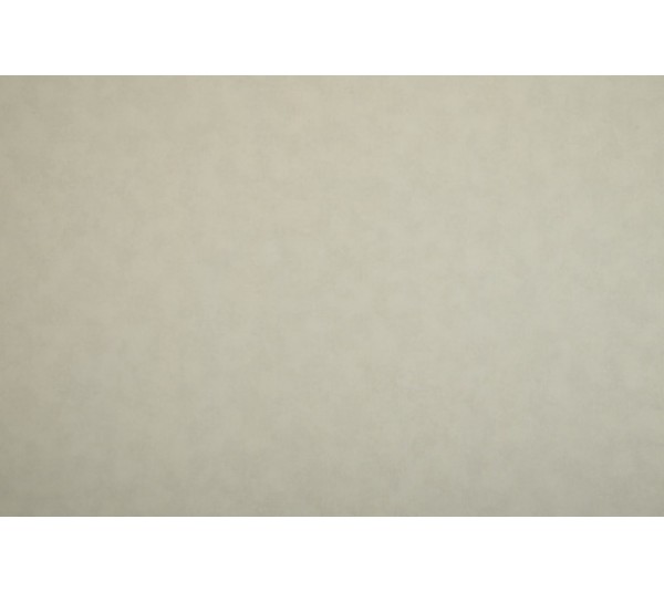 обои NC Color 4050-070