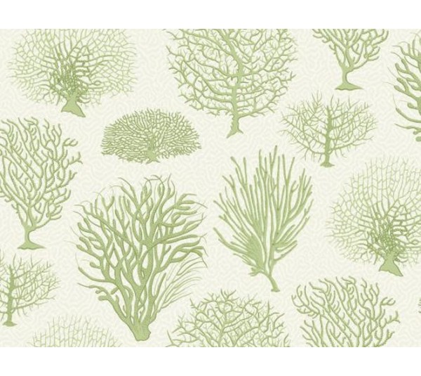 обои Cole & Son Curio 107/2008