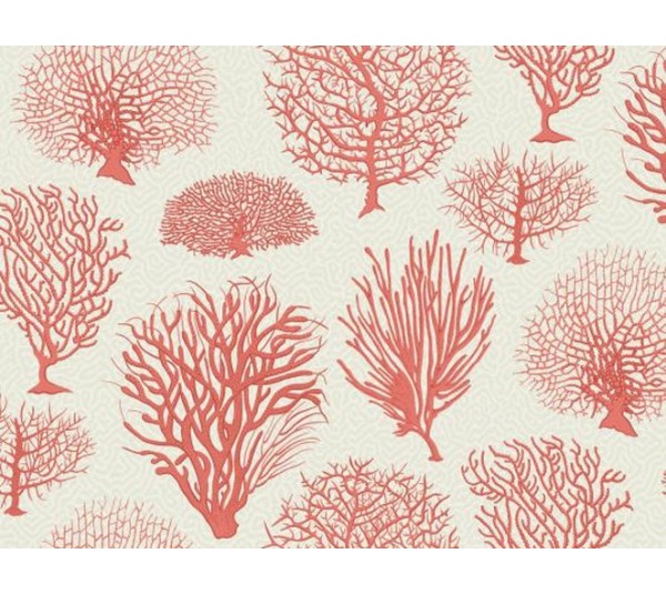 обои Cole & Son Curio 107/2011
