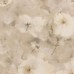 обои Rasch Vincenza 467352