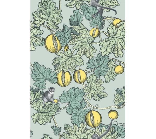 обои Cole & Son Fornasetti 3 114/1002