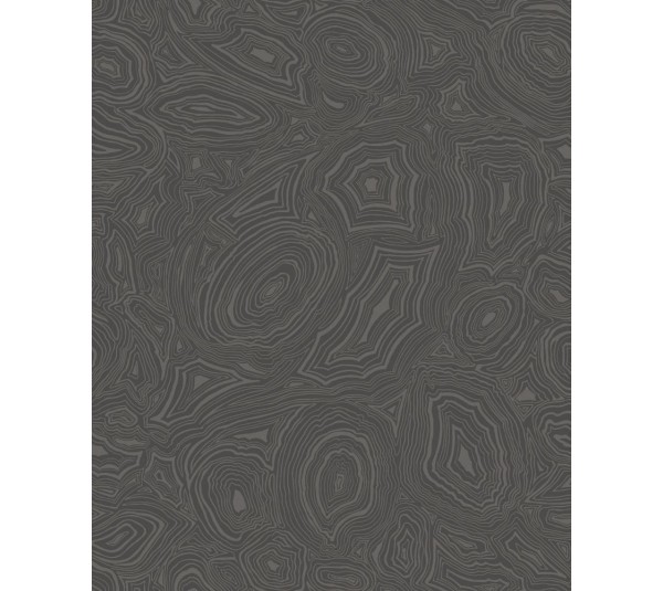 обои Cole & Son Fornasetti 3 114/6012