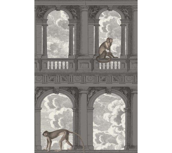 обои Cole & Son Fornasetti 3 114/8016