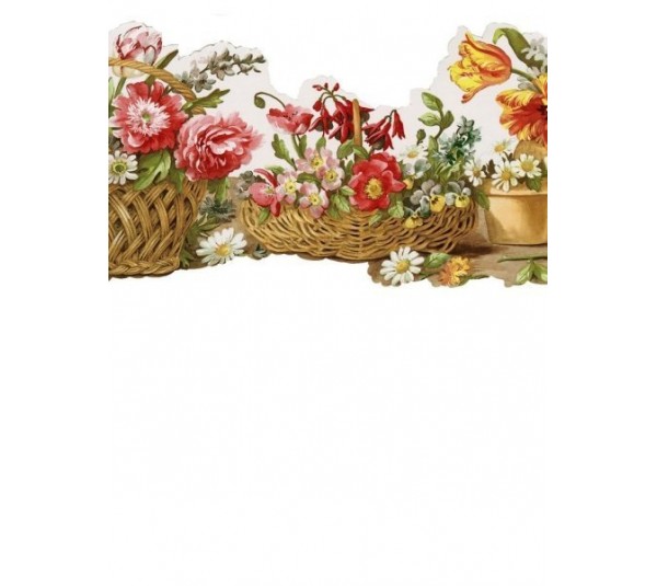 обои Aura Kitchen Story III FK78464DC