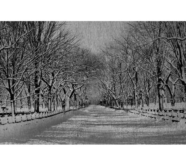 обои Kolizz-Art Digi TD12033-9P-W